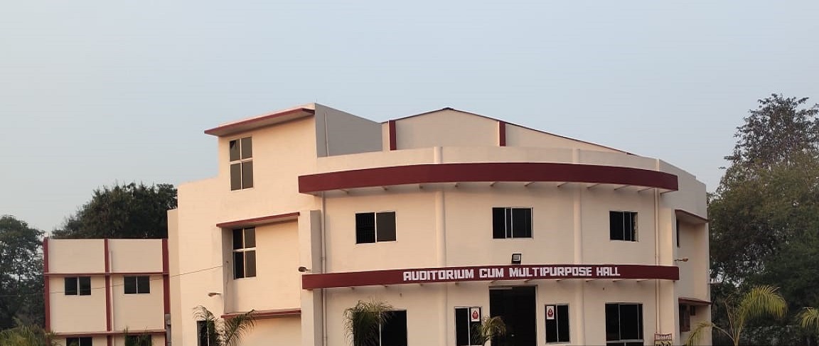 Bhilai Mahila Mahavidyalaya 